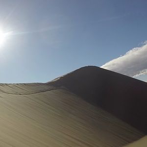 Meet your Posher, Brayden